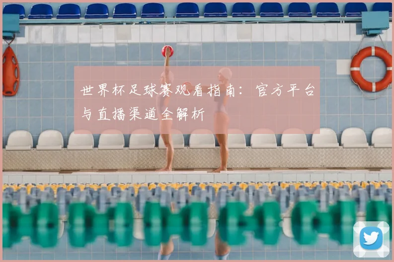 世界杯足球赛观看指南:官方平台与直播渠道全解析